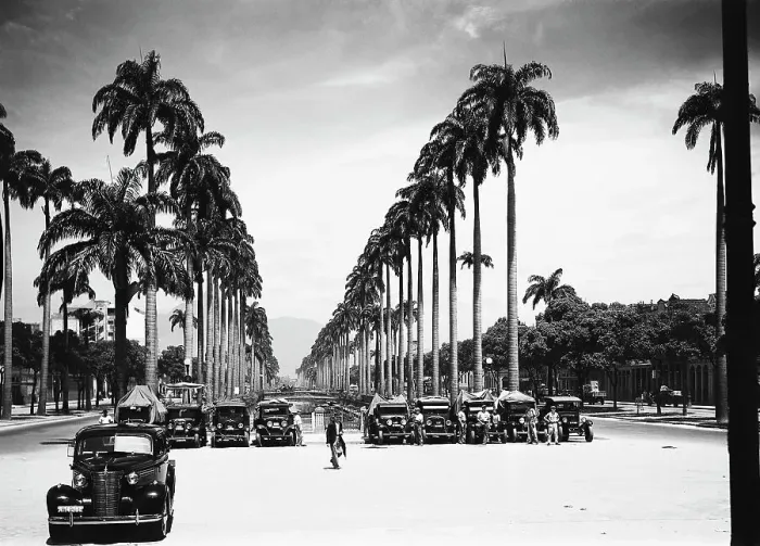 Framed Print : Street In Rio De Janeiro / Plam Trees Framed Print : Street In Rio De Janeiro / Plam Trees