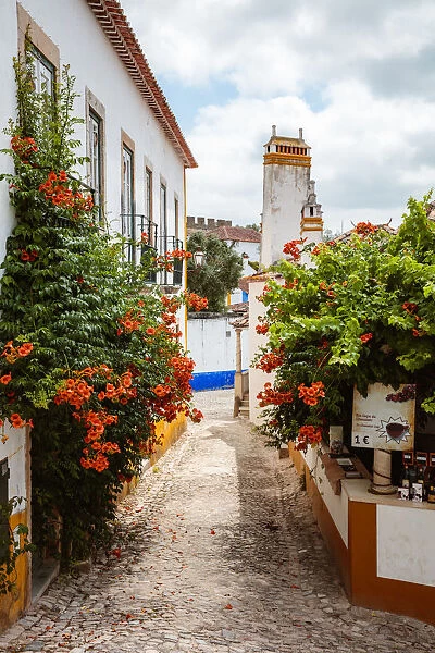 Street a small village, region Centro, Portugal