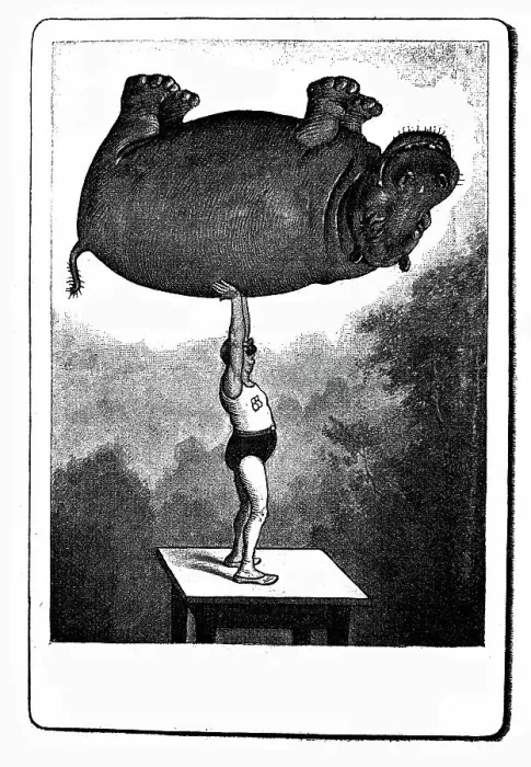 Framed Print : Strength raises the hippo. The tricks of the photographer Framed Print : Strength raises the hippo. The tricks of the photographer