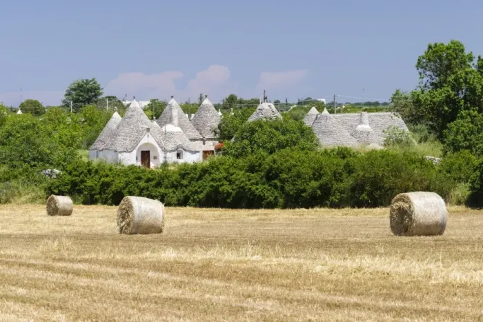 Framed Print : Stubble field, straw bales, Trulli houses, traditional round houses, at the back, near Locorotondo, Valle dItria, Apulia, Italy Framed Print : Stubble field, straw bales, Trulli houses, traditional round houses, at the back, near Locorotondo, Valle dItria, Apulia, Italy