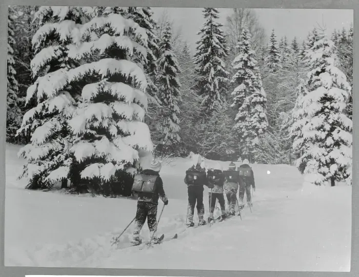 Framed Print : Students Skiing in the Woods Framed Print : Students Skiing in the Woods