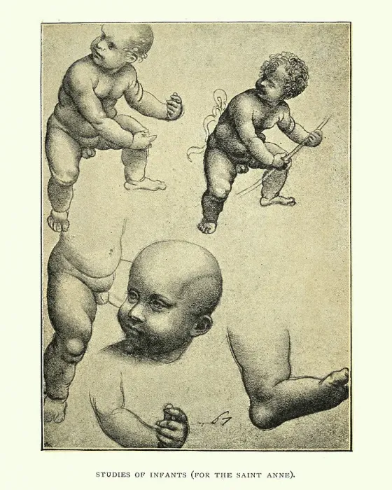 Framed Print : Studies of Infants by Leonardo Da Vinci, Renaissance art Framed Print : Studies of Infants by Leonardo Da Vinci, Renaissance art