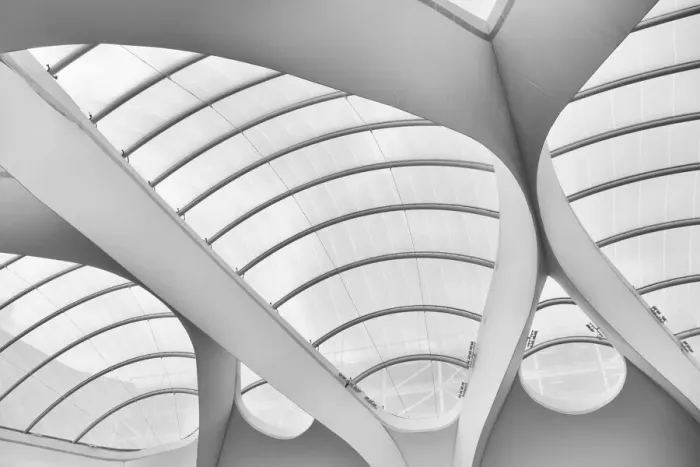 Framed Print : Study of Lines and Curves
