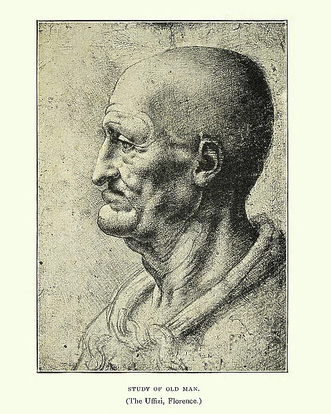 Study of an old man, Leonardo Da Vinci
