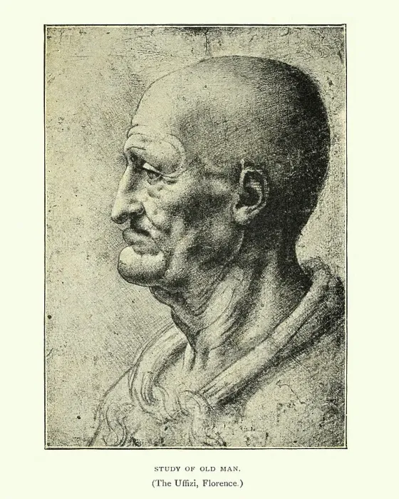 Framed Print : Study of an old man, Leonardo Da Vinci Framed Print : Study of an old man, Leonardo Da Vinci