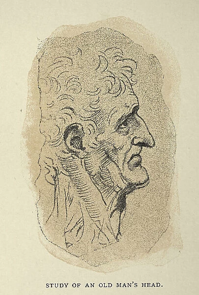 Study of an old man's head, Early renaissance art, After the sketch by Leonardo da Vinci