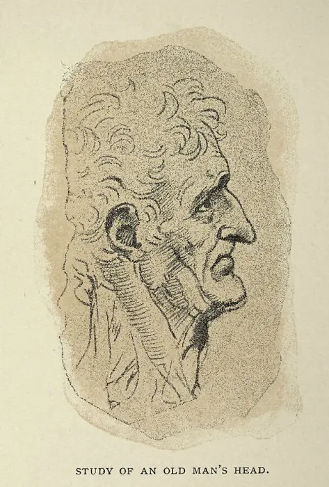 Framed Print : Study of an old man's head, Early renaissance art, After the sketch by Leonardo da Vinci Framed Print : Study of an old man's head, Early renaissance art, After the sketch by Leonardo da Vinci