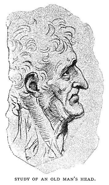 Study sketch of an old man by Leonardo Da Vinci