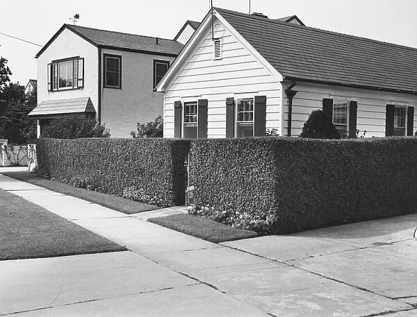 Two suburb houses with hedge, (B&W)