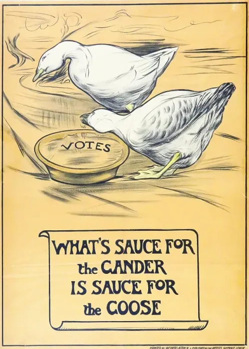 Framed Print : Suffrage Geese Poster Framed Print : Suffrage Geese Poster