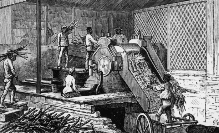 Framed Print : Sugar Cane Crushing Framed Print : Sugar Cane Crushing