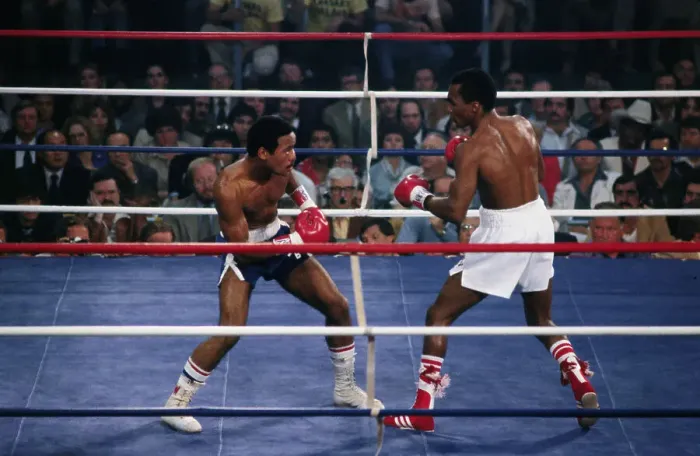 Framed Print : Sugar Ray Leonard and Wilfred Benitez in the Boxing Ring Framed Print : Sugar Ray Leonard and Wilfred Benitez in the Boxing Ring