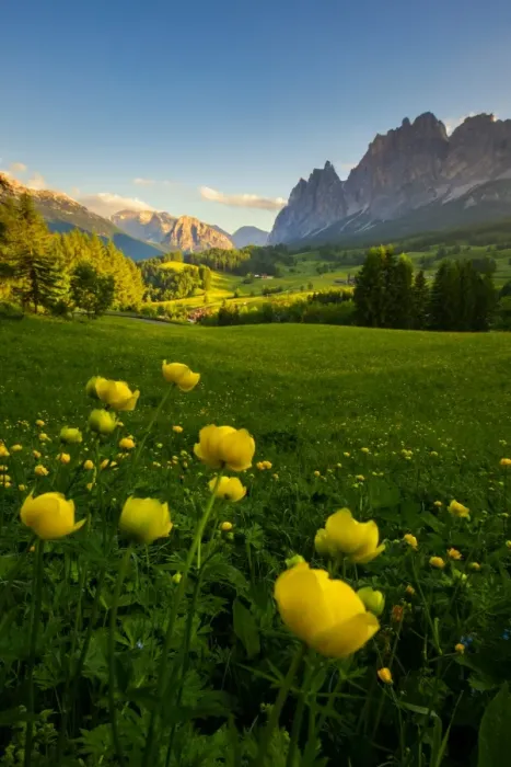 Framed Print : Summer in the Dolomites Framed Print : Summer in the Dolomites