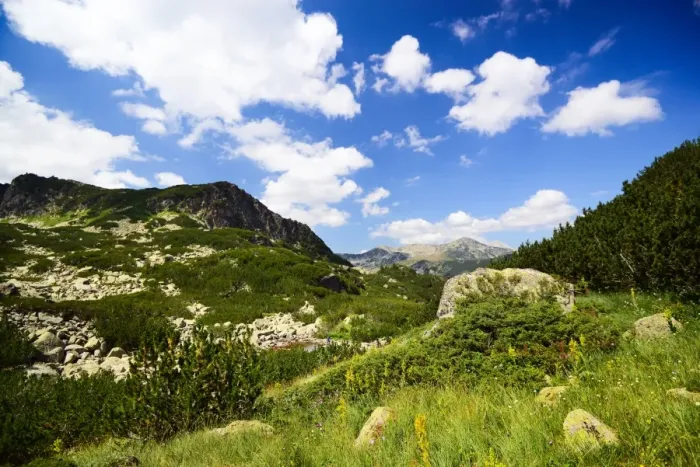 Framed Print : Summer landscape from Pirin national park Framed Print : Summer landscape from Pirin national park