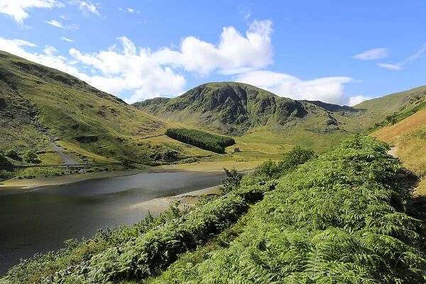 Summer view of Harter fell, Mardale valley, Lake District National Park, Cumbria County