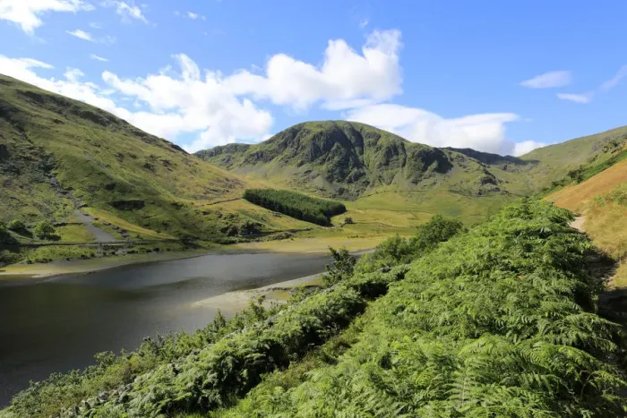 Framed Print : Summer view of Harter fell, Mardale valley, Lake District National Park, Cumbria County Framed Print : Summer view of Harter fell, Mardale valley, Lake District National Park, Cumbria County
