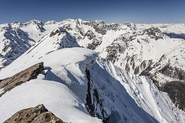 Summit ridge with overhanging snow en route to Mt Lser Orgelspitze in Val Martello, Martelltal valley, and the Stelvio National Park, Ortler Alps with Mt King, Mt Zebru and Mt Ortler, Vinschgau, South Tyrol, Trentino-Alto Adige, Italy