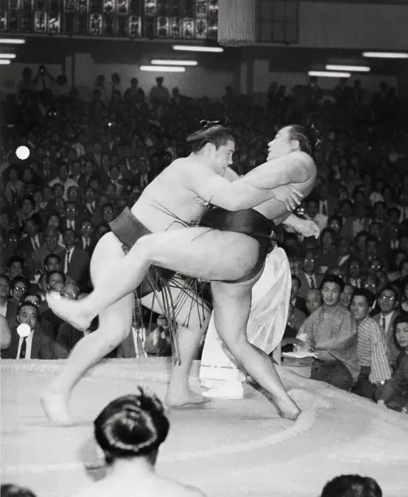 Framed Print : Sumo Wrestling Framed Print : Sumo Wrestling