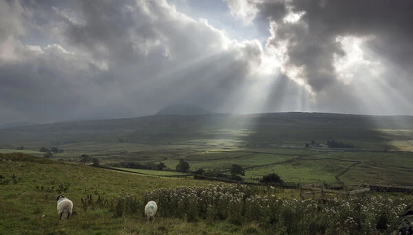 Sun Rays. Sun breaking through clouds in the Yorkshire Dales