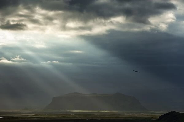 Sun rays shining through clouds, moody lighting, South Coast, Iceland, Europe
