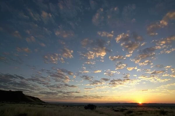 Sun setting on Horizon in a Bushveld Scene