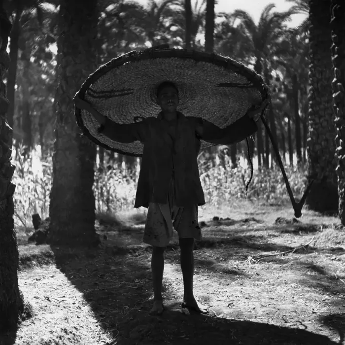 Framed Print : Sun Shade. October 1951: A man sheltering from the sun in Egypt under a wide-brimmed hat Framed Print : Sun Shade. October 1951: A man sheltering from the sun in Egypt under a wide-brimmed hat