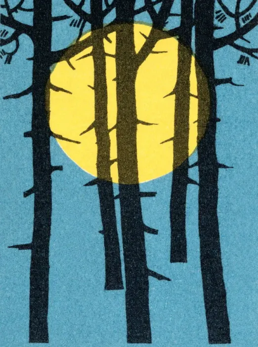 Framed Print : Sun through the trees Framed Print : Sun through the trees