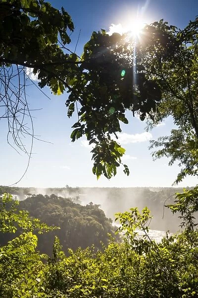 Sun between trees in IguaAzu National Park