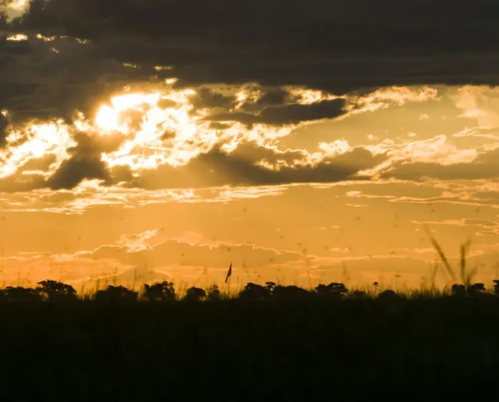 Framed Print : Sunlight breaks through the clouds over the african savannah Framed Print : Sunlight breaks through the clouds over the african savannah