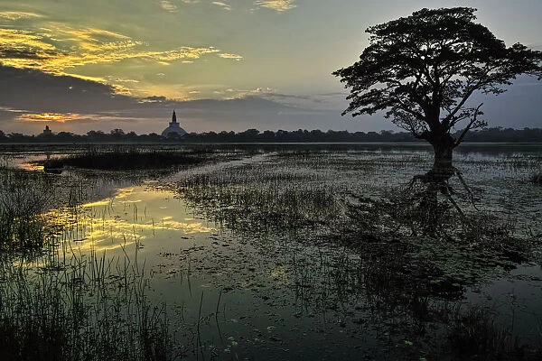 Sunrise at Anuradhapura