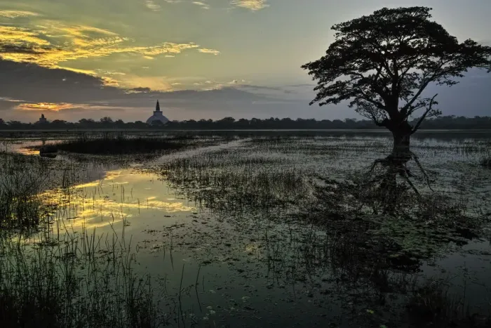 Framed Print : Sunrise at Anuradhapura Framed Print : Sunrise at Anuradhapura