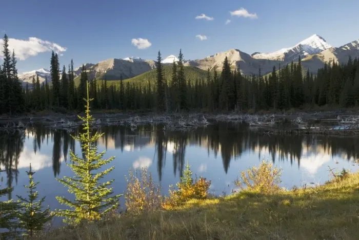 Framed Print : sunrise in autumn in kananaskis Framed Print : sunrise in autumn in kananaskis