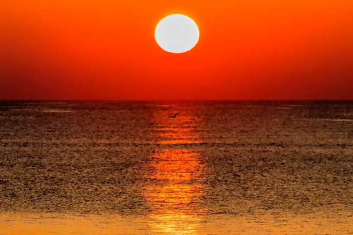 Framed Print : Sunrise Beach Framed Print : Sunrise Beach