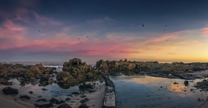 Framed Print : Sunrise, Clouds, Sky, Bird, Seagull, Tidal Pool, Rocks, Pink, Cape Town, South Africa Framed Print : Sunrise, Clouds, Sky, Bird, Seagull, Tidal Pool, Rocks, Pink, Cape Town, South Africa