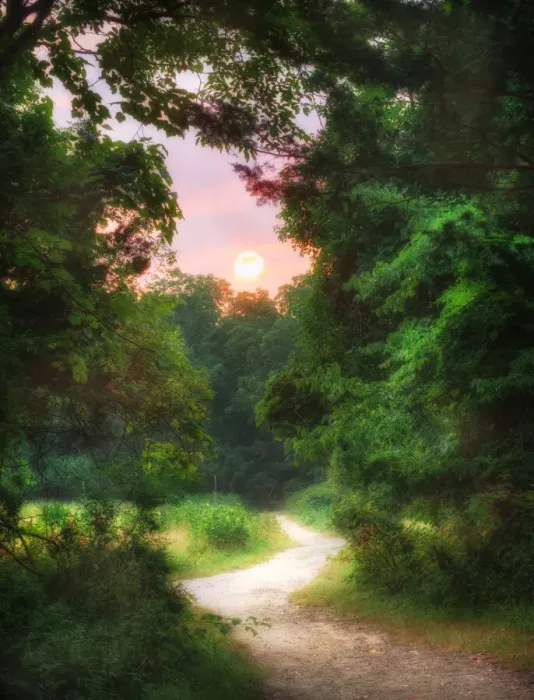 Framed Print : Sunrise at the End of the Path at Elizabeth Morton Wildlife Preserve in Sag Harbor
