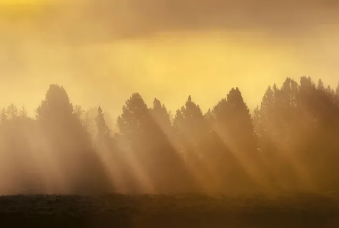 Framed Print : AM sunrise through fog in Hayden Valley Yellowstone NP