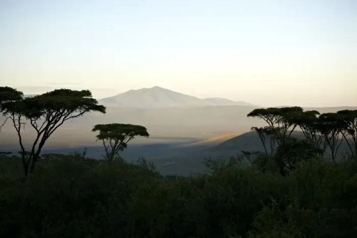 Framed Print : Sunrise, Ngorongoro Crater, volcano, northern edge of the Ngorongoro Conservation Area, Tanzania, Africa Framed Print : Sunrise, Ngorongoro Crater, volcano, northern edge of the Ngorongoro Conservation Area, Tanzania, Africa