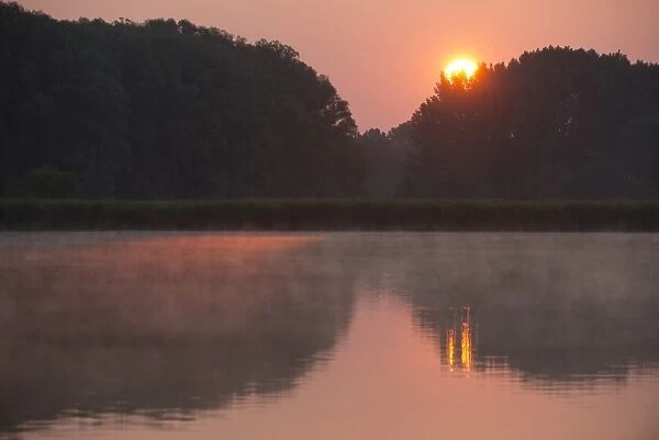 Sunrise over a pond landscape, Herbsleben, Thuringia, Germany