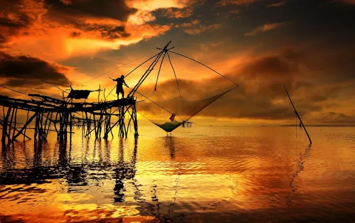 Framed Print : Sunrise over sea