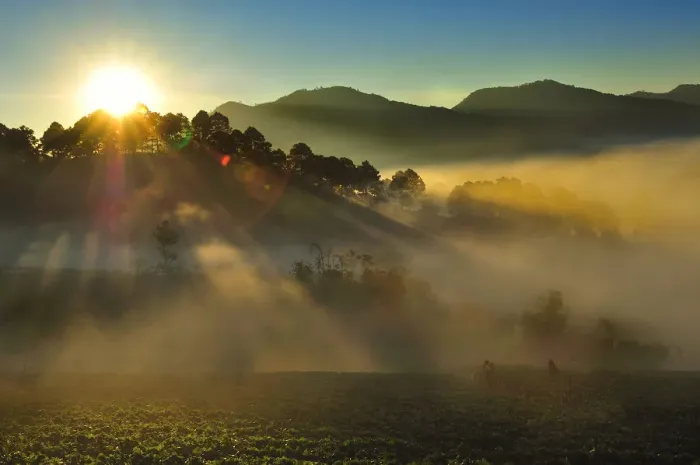 Framed Print : Sunrise over strawberry farm, Doi Ang Khang Framed Print : Sunrise over strawberry farm, Doi Ang Khang