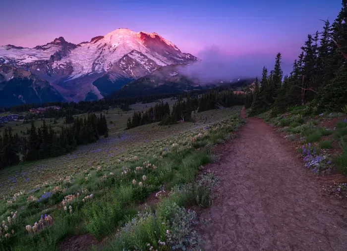 Framed Print : Sunrise At Sunrise Area in Mount Rainier National Park Framed Print : Sunrise At Sunrise Area in Mount Rainier National Park