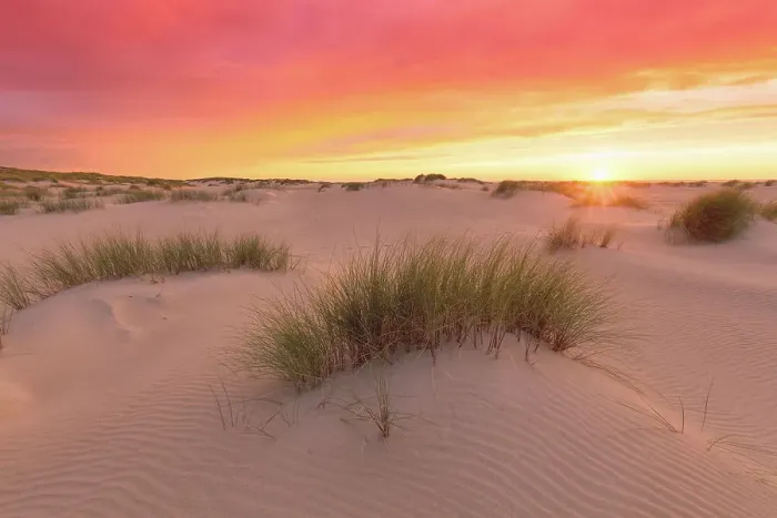 Framed Print : Sunset in the dunes near De Cocksdorp on Texel island Framed Print : Sunset in the dunes near De Cocksdorp on Texel island