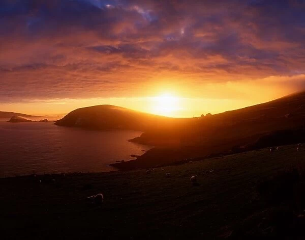 Sunset at Dunmore Head, Dingle Peninsula, Co Kerry, Ireland
