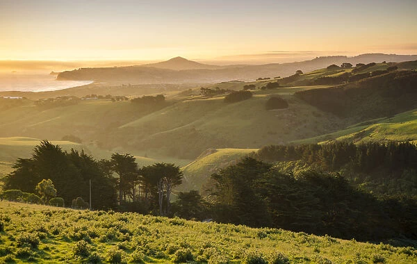 Sunset over grassland, on a country road, Dunedin Beach at the back, Otago Peninsula, South Island, New Zealand, Oceania