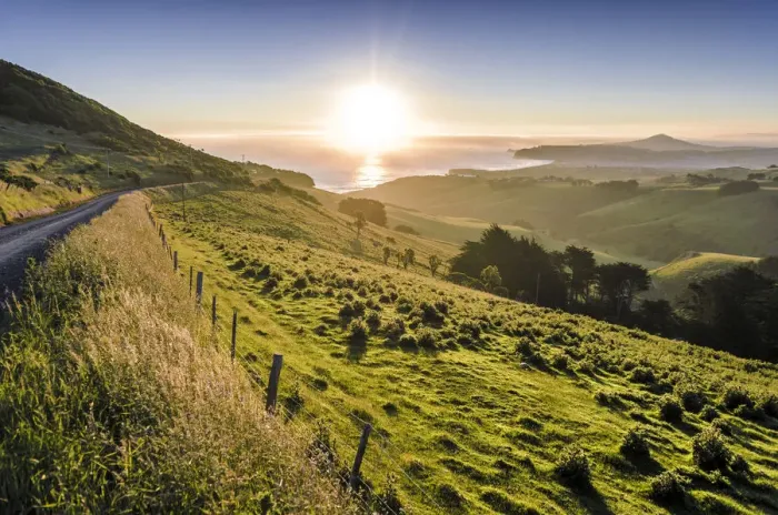 Framed Print : Sunset over grassland and a country road, Dunedin Beach at the back, Otago Peninsula, South Island, New Zealand, Oceania Framed Print : Sunset over grassland and a country road, Dunedin Beach at the back, Otago Peninsula, South Island, New Zealand, Oceania