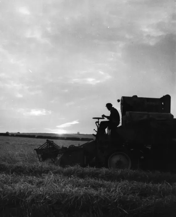 Framed Print : Sunset Harvest Framed Print : Sunset Harvest