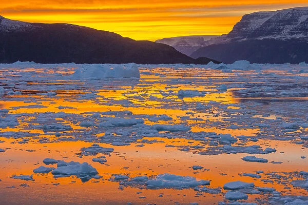 Sunset above icebergs and brash ice, Gasefjord, Scoresby Sund, Greenland, Denmark