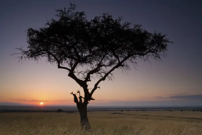 Framed Print : Sunset, Kenya Framed Print : Sunset, Kenya