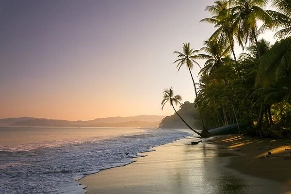 Sunset on palm fringed beach, Costa Rica