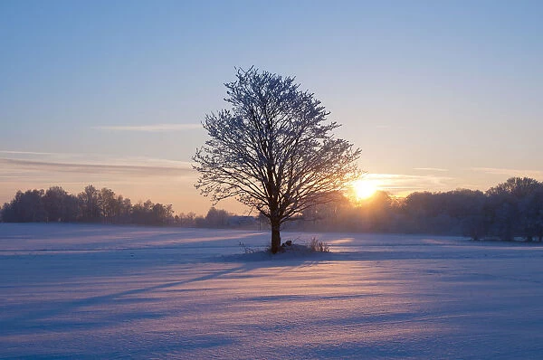 Sunset on a snowy winter landscape, Lower Saxony, Germany, Europe